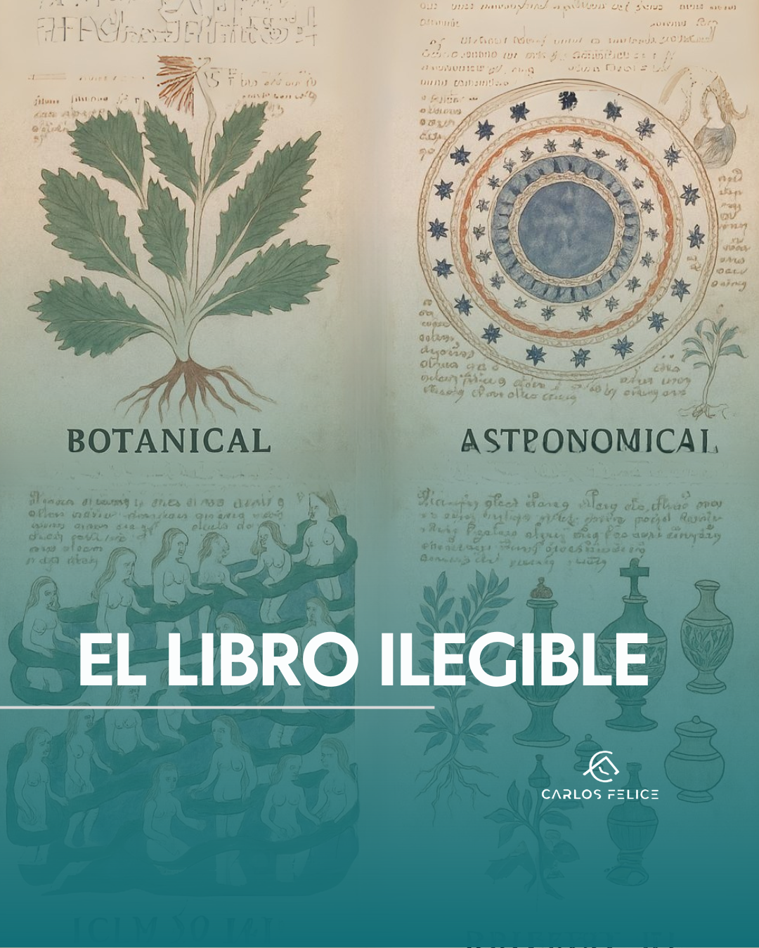 El libro ilegible